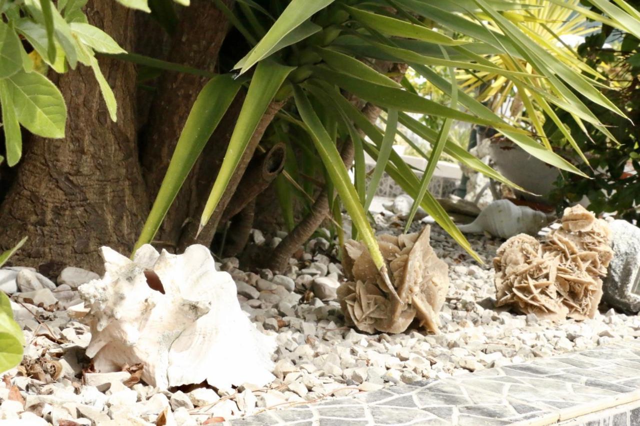 مبيت وإفطار سيسيمبرا Casa Teresinha المظهر الخارجي الصورة