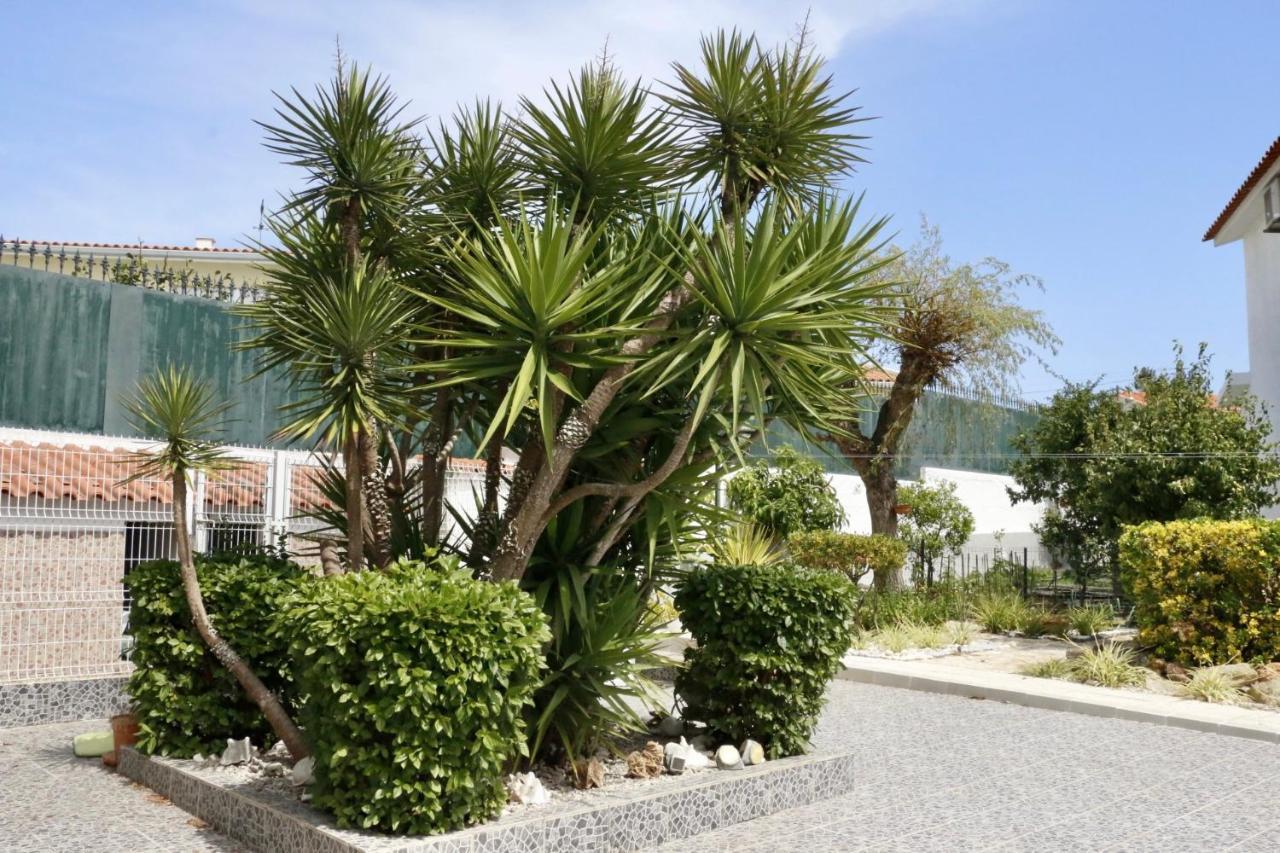 مبيت وإفطار سيسيمبرا Casa Teresinha المظهر الخارجي الصورة